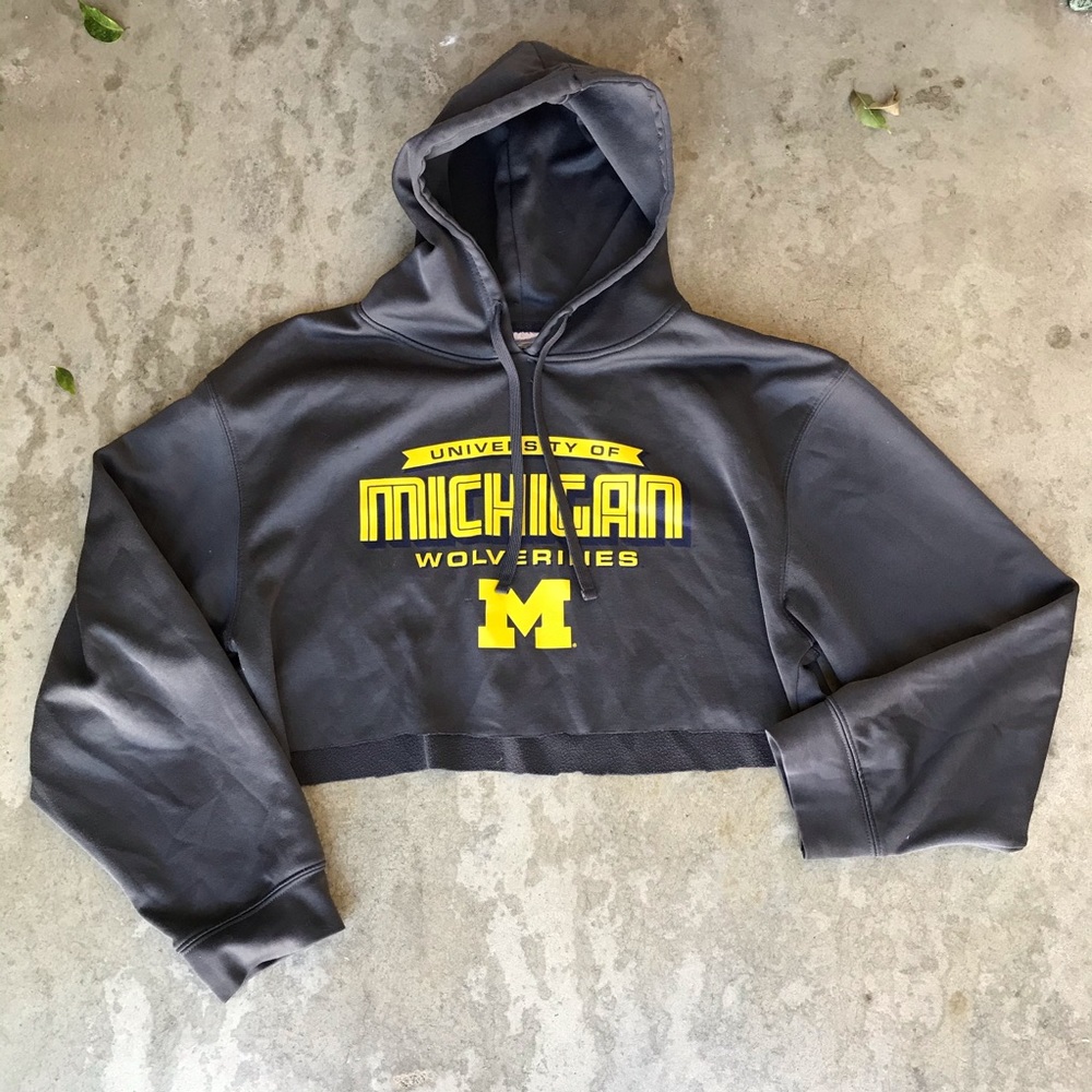 University of Michigan Crop Top Hoodie